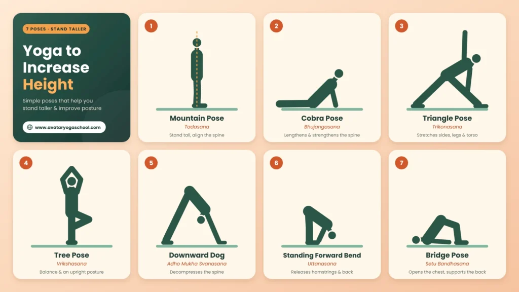 7-poses-of-yoga-to-increase-height